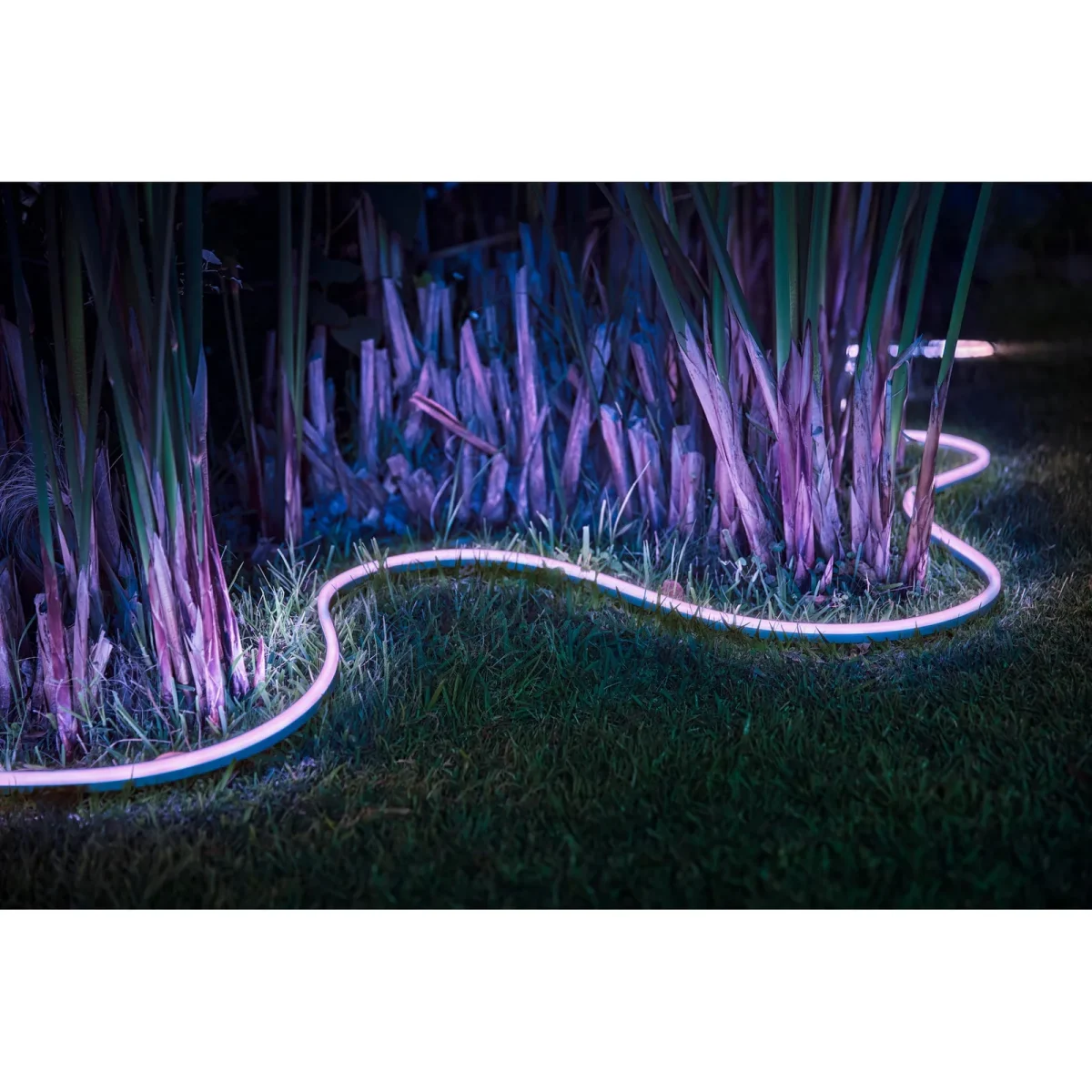 Philips Hue Lightstrip Outdoor 5m  White & Col. Amb. 1600lm Bluetooth Doppelpack - Slika 6