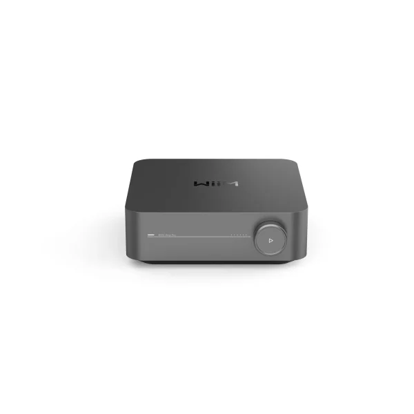 Wiim Amp Pro Streaming-Verstärker grau