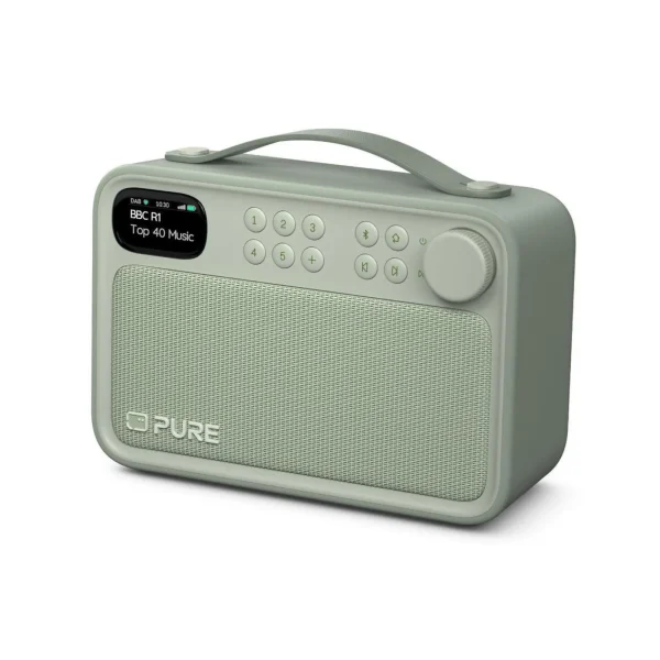 Pure Bloom Radio mit Bluetooth DAB+/UKW IPX5 portabel, mit Akku, salbeigrün